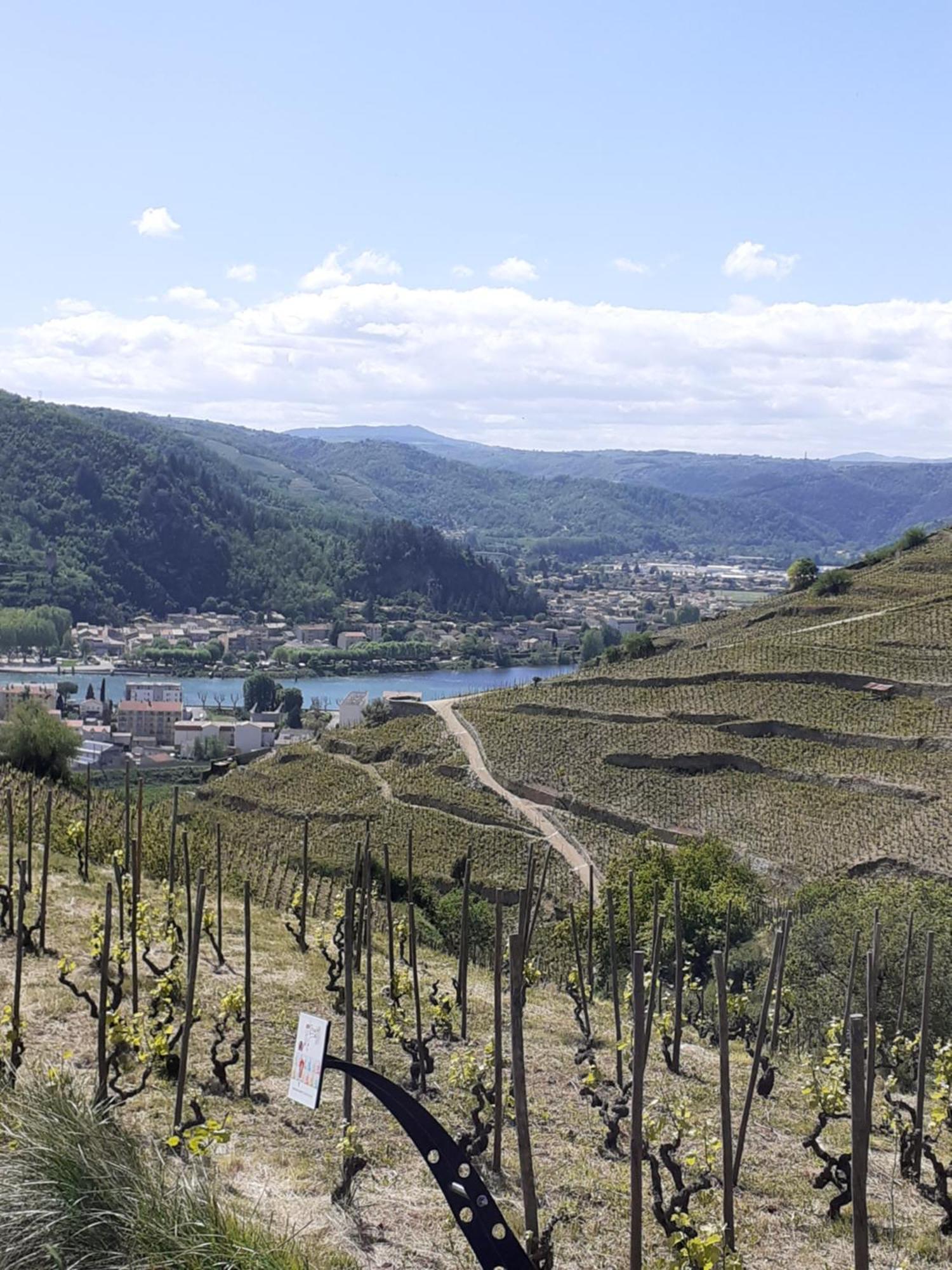 Du Vigneron A La Terrasse Piscine Local Velos Сasa de vacaciones *